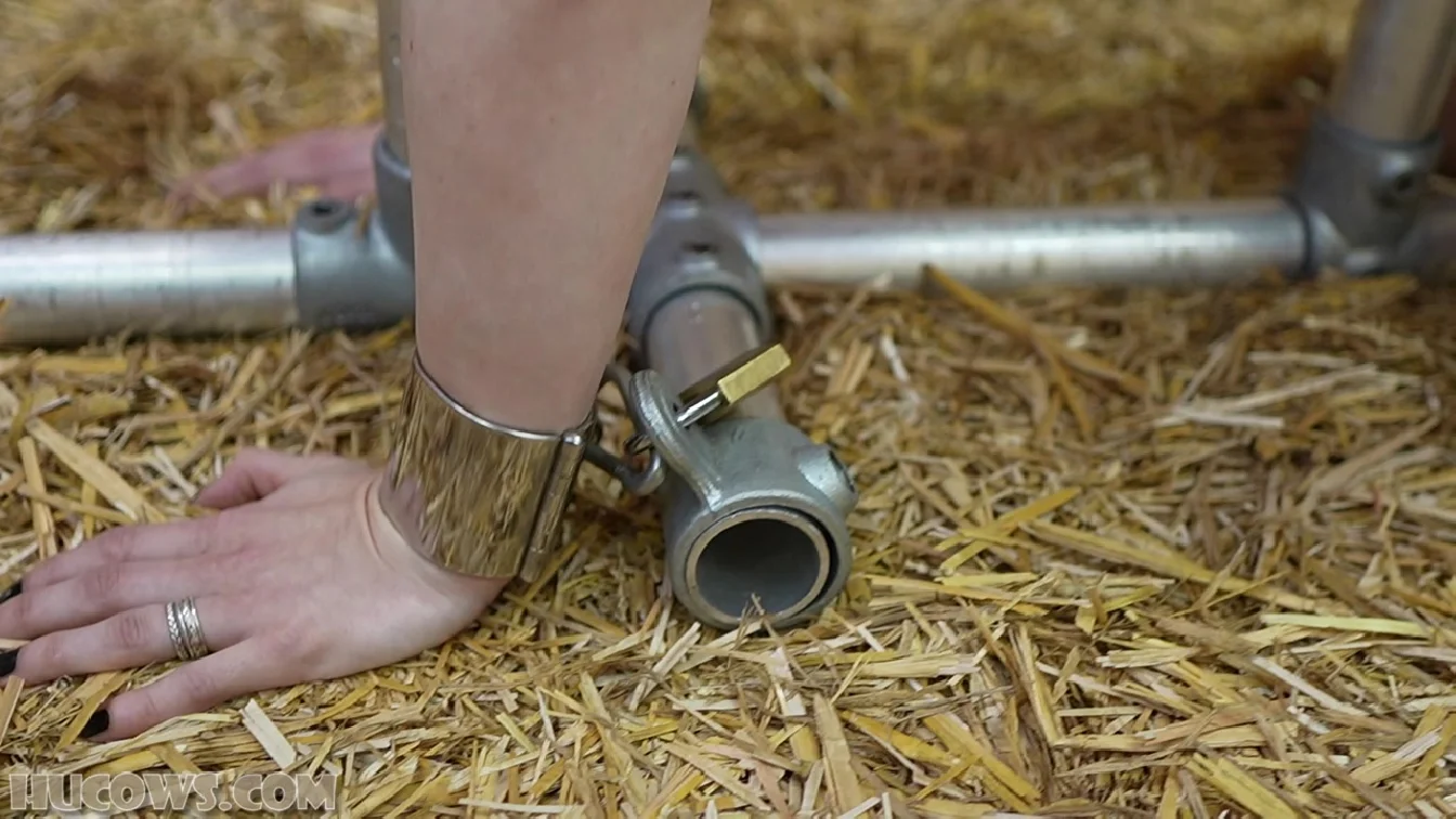 Elizabeth Goat Milker XXX